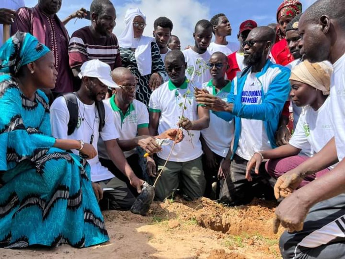 Ndouloumadji/Campagne de reboisement : le DG de l'ASERGMV a planté symboliquement "l'arbre du chef de l'État" Ndouloumadji/Campagne de reboisement : le DG de l'ASERGMV a planté symboliquement "l'arbre du chef de l'État"