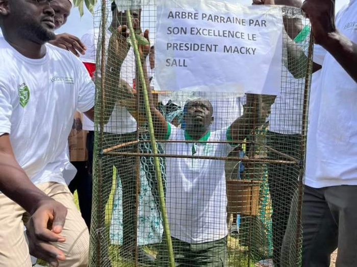 Ndouloumadji/Campagne de reboisement : le DG de l'ASERGMV a planté symboliquement "l'arbre du chef de l'État" Ndouloumadji/Campagne de reboisement : le DG de l'ASERGMV a planté symboliquement "l'arbre du chef de l'État"