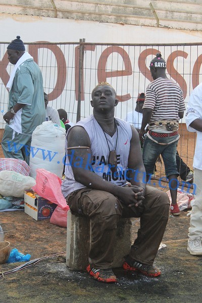 Balla Gaye II et son entourage dans leurs oeuvres 