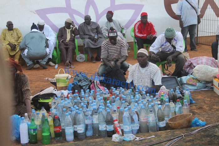 Balla Gaye II et son entourage dans leurs oeuvres 