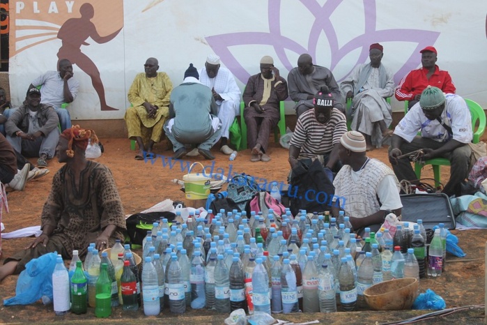 Balla Gaye II et son entourage dans leurs oeuvres 
