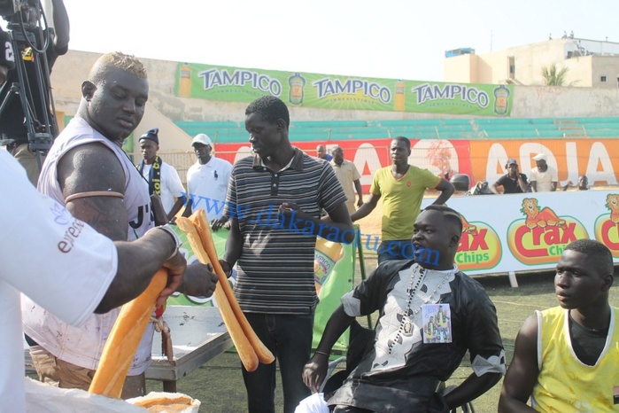 Balla Gaye II et son entourage dans leurs oeuvres 