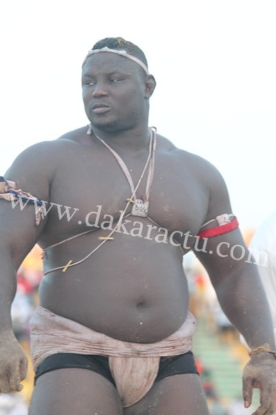 Le Roi est mort, vive le Roi !  Bombardier nouveau "Roi des Arènes"