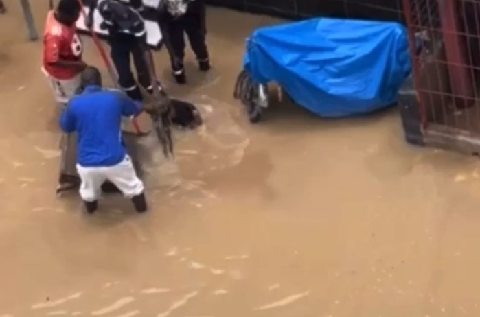 Cambérène 2 : un corps repêché dans les eaux de pluies Cambérène 2 : un corps repêché dans les eaux de pluies