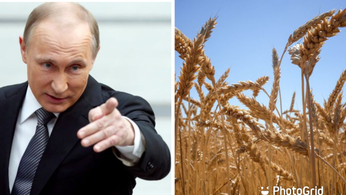 Les céréales ukrainiennes vont aux pays de l'UE, pas aux pays pauvres, affirme Poutine