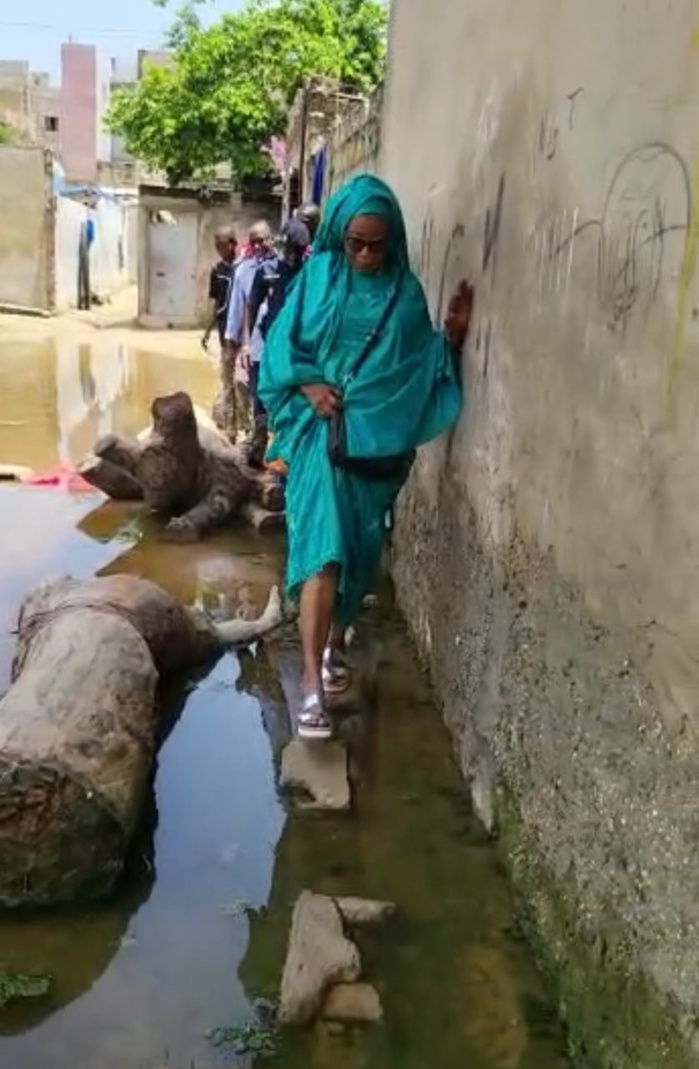 Inondations dans la région de Dakar : un appui de 500 000 Fcfa à chaque sinistré de Cambérène 2, Yeumbeul Nord, Thiaroye Gare Médinatoul Mounawar et Kounoune.