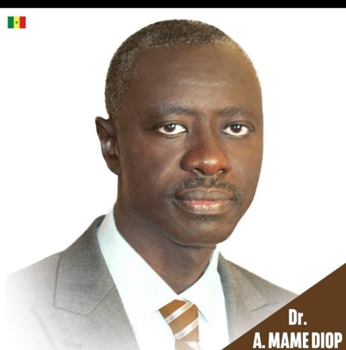 PORTRAIT / Assemblée Nationale : Amadou Mame Diop, nouveau président de l’institution. PORTRAIT / Assemblée Nationale : Amadou Mame Diop, nouveau président de l’institution.