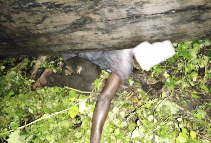 KOLDA : un arbre tombe et tue un homme à Sinthiang Nfally. KOLDA : un arbre tombe et tue un homme à Sinthiang Nfally.
