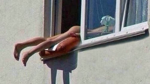Elle provoque un accident en bronzant nue à sa fenêtre