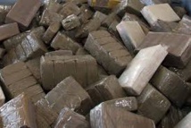 Saisie de drogue à Sangalkam La gendarmerie met la main sur 428 kg de chanvre indien