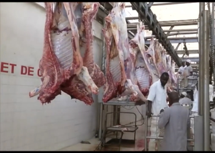 Baisse du kilogramme de viande : les professionnels des abattoirs du Sénégal protestent contre la décision.