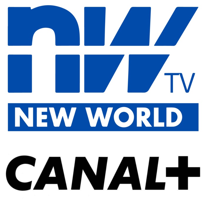 DIFFUSION DES MATCHES DE LA COUPE DU MONDE : New world télévisions met en demeure Canal+.