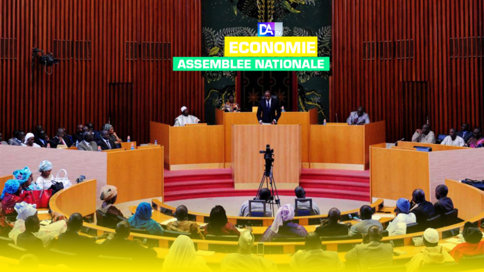 Assemblée nationale : Le budget du Ministère des Pêches et de l'Économie maritime est arrêté à 45 973 996 259 FCFA