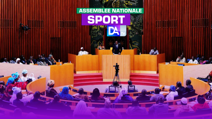 Vote du budget du ministère des Sports : Le ministre suspend les travaux pour accueillir les Lions Vote du budget du ministère des Sports : Le ministre suspend les travaux pour accueillir les Lions