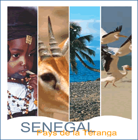 Comprendre le tourisme sénégalais : Eclairage sur notre tourisme