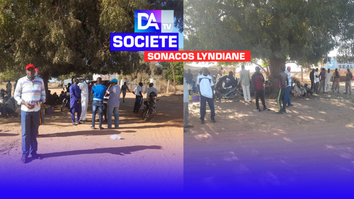 Sonacos Lyndiane / Préavis de fin de contrat du personnel saisonnier : Les travailleurs ruent dans les brancards et interpellent le président Macky Sall. Sonacos Lyndiane / Préavis de fin de contrat du personnel saisonnier : Les travailleurs ruent dans les brancards et interpellent le président Macky Sall.