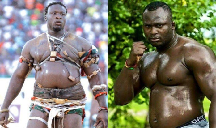 Retro Sports : 2022 une année record pour le Sénégal ! Retro Sports : 2022 une année record pour le Sénégal !