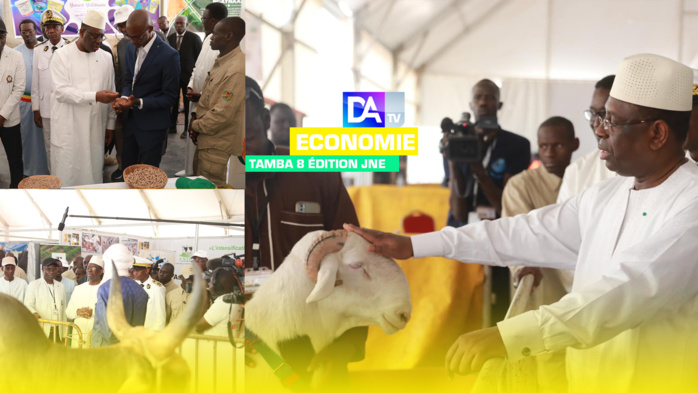 Journée nationale de l’Élevage : "J'ai augmenté le budget du FONSTAB de 3 milliards à 5 milliards de franc CFA ; ce qui a permis de financer en 2022, 550 projets sur 723 projets..." (Macky Sall).