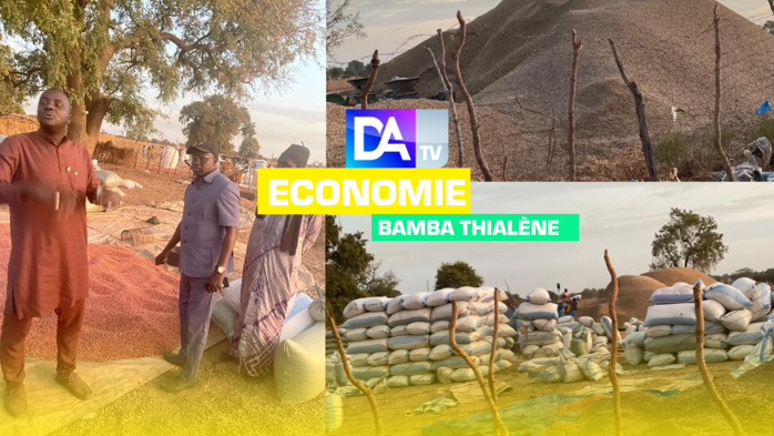 Bamba Thialène / Valorisation de l’arachide : pour fixer les femmes et les jeunes, l’ADL va mettre en place des unités semi insdustrielles.