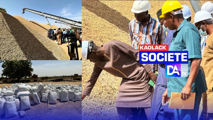 Kaolack- Manque de graines d’arachide à la Sonacos Lyndiane/ Décision de se séparer des saisonniers : Plusieurs pères de famille sur le qui vive Kaolack- Manque de graines d’arachide à la Sonacos Lyndiane/ Décision de se séparer des saisonniers : Plusieurs pères de famille sur le qui vive