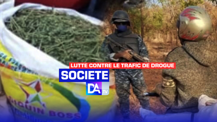 Lutte contre le trafic de drogue : 25 kg de chanvre indien saisis à Sédhiou. Lutte contre le trafic de drogue : 25 kg de chanvre indien saisis à Sédhiou.