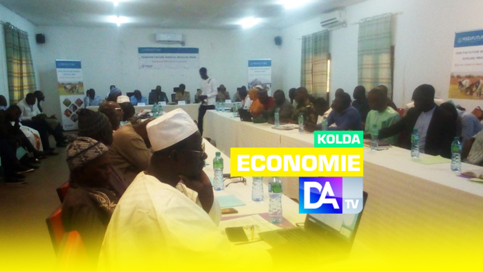 Lutte contre l’insécurité alimentaire à Kolda : USAID/dooléle mbay compte toucher plus de 170.000 ménages… 100 organisations pour… Lutte contre l’insécurité alimentaire à Kolda : USAID/dooléle mbay compte toucher plus de 170.000 ménages… 100 organisations pour…