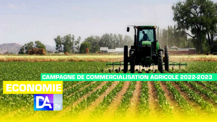 Campagne de commercialisation agricole 2022-2023 : des risques importants de répercussion sur la disponibilité des semences pour les campagnes de production 2023 (CNC) Campagne de commercialisation agricole 2022-2023 : des risques importants de répercussion sur la disponibilité des semences pour les campagnes de production 2023 (CNC)