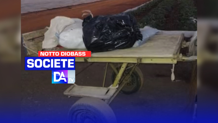 Lutte contre le trafic de drogue: 40 kg de chanvre indien saisis à Notto Diobass Lutte contre le trafic de drogue: 40 kg de chanvre indien saisis à Notto Diobass
