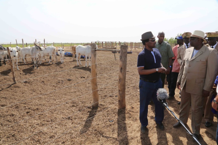 Visite du PR à la ferme de Diama où l'agriculture et l'élevage sont bien combinés