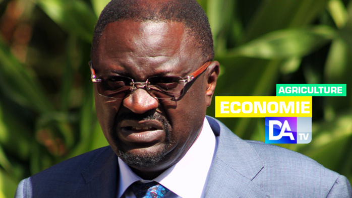 Agriculture Mondiale: Le Sénégal porté à la tête du G77+ Chine…