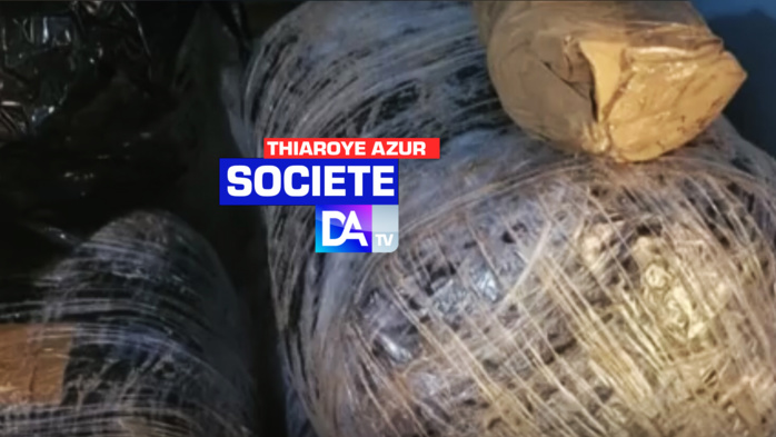 Gros coup de filet sur la plage de la S.A.R. à Thiaroye Azur : 117 kg de chanvre indien saisis par la gendarmerie Gros coup de filet sur la plage de la S.A.R. à Thiaroye Azur : 117 kg de chanvre indien saisis par la gendarmerie