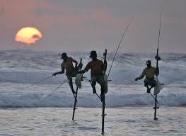 La Journée mondiale de la pêche célébrée à Nianing, le 21 novembre