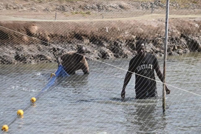 Pêche/Aquaculture : le chef de l’État salue les efforts notables consentis par ANA et compte accroître les ressources allouées au Programme Pêche/Aquaculture : le chef de l’État salue les efforts notables consentis par ANA et compte accroître les ressources allouées au Programme