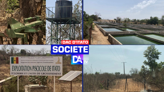 DAC d’Itato : « Le Prodac est devenu le syndrome de la corruption généralisée et de la déliquescence de notre administration. » (Thierno Alassane Sall)