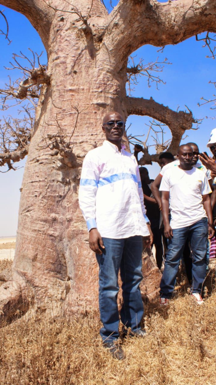 Litige foncier: Thierno Alassane Sall en soutien aux populations de Fatick contre un projet d'attribution de 5.000 ha à des indiens