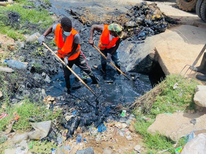 ​Saison 2 cleaning day : Le maire de Mbao a réussi à mobiliser les populations pour la cause  ( IMAGES )