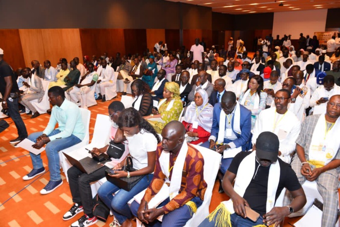 Politique : Les priorités de Déthié Fall, une fois à la tête du Sénégal... Politique : Les priorités de Déthié Fall, une fois à la tête du Sénégal...