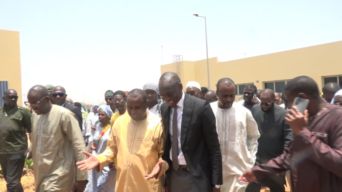 Autosuffisance en Viande : Le député et président de l'Union nationale des organisations d'éleveurs du Sénégal, Harona Gallo Bâ réceptionne 300 boeufs de race Guzera Autosuffisance en Viande : Le député et président de l'Union nationale des organisations d'éleveurs du Sénégal, Harona Gallo Bâ réceptionne 300 boeufs de race Guzera