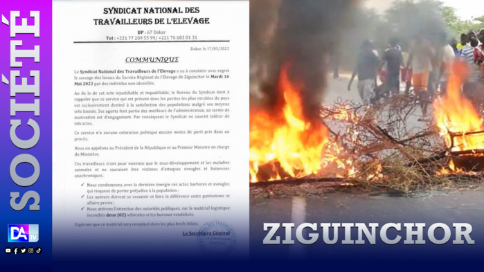 Ziguinchor / Saccage des locaux du Service Régional de l’Élevage : Le syndicat dénonce un acte barbare et aveugle des manifestants
