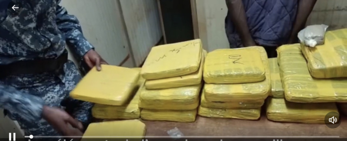 Kédougou / Lutte contre le trafic de drogue : 24 kg de yamba saisis sur l'axe Sabodala-Tenkoto Kédougou / Lutte contre le trafic de drogue : 24 kg de yamba saisis sur l'axe Sabodala-Tenkoto