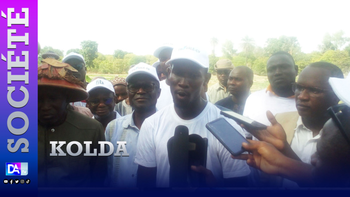 KOLDA : Mamadou Diop, master en poche s’investit dans l’agriculture…
