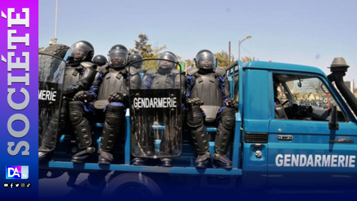 Nguekhokh une trentaine de jeunes interpellés par la Gendarmerie dont le coordonnateur de Pastef... Nguekhokh une trentaine de jeunes interpellés par la Gendarmerie dont le coordonnateur de Pastef...