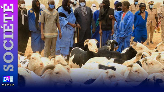 Manifestations et Tabaski : Ziguinchor et Dakar blacklistées par les éleveurs Manifestations et Tabaski : Ziguinchor et Dakar blacklistées par les éleveurs