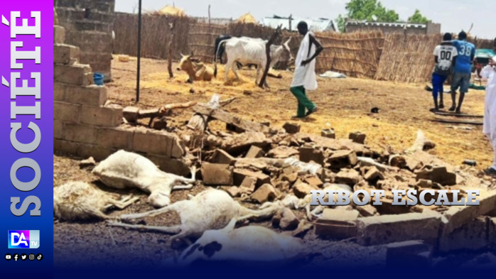 Ribot Escale: De lourds dégâts dans la zone après de fortes rafales de vent Ribot Escale: De lourds dégâts dans la zone après de fortes rafales de vent