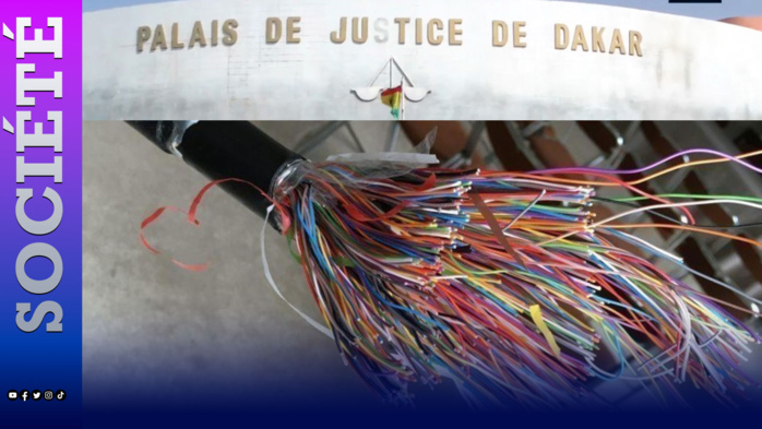 Vol de câble de la Sonatel : 4 agents de Ecotel écroués en tentant de subvenir aux dépenses de la Tabaski. Vol de câble de la Sonatel : 4 agents de Ecotel écroués en tentant de subvenir aux dépenses de la Tabaski.