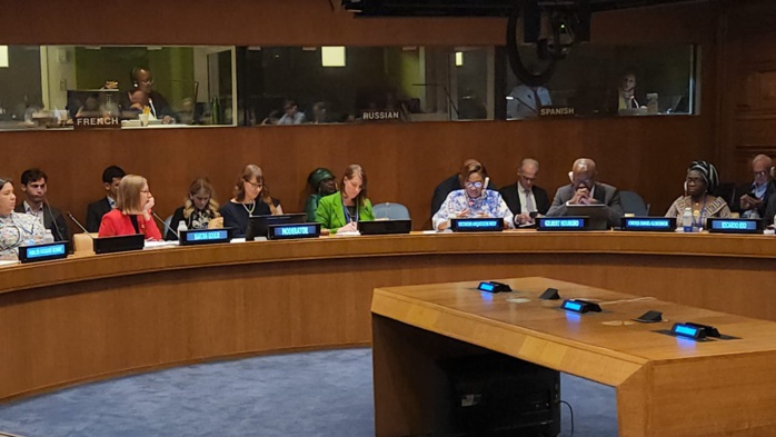 Forum sur les ODD à New York: Le ministre Victorine exhibe les avancées de l’ESS au Sénégal Forum sur les ODD à New York: Le ministre Victorine exhibe les avancées de l’ESS au Sénégal