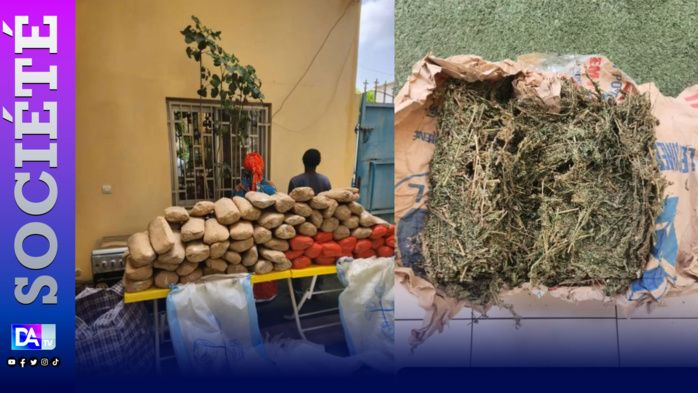 Trafic de stupéfiants : Une femme de 50 ans et un homme de 64 ans interpellés avec 121 kg de chanvre indien