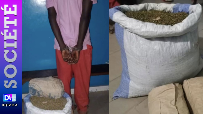 Sedhiou/Lutte contre le trafic de drogue: le 16 Kg de yamba saisis sur un individu armé