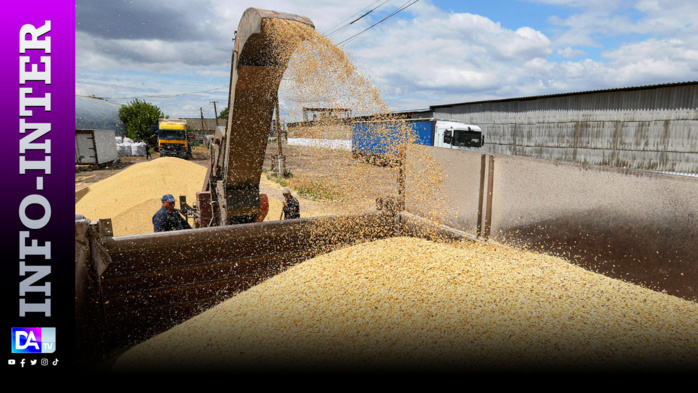 Des dirigeants africains demandent le déblocage des exportations de céréales et d'engrais russes Des dirigeants africains demandent le déblocage des exportations de céréales et d'engrais russes