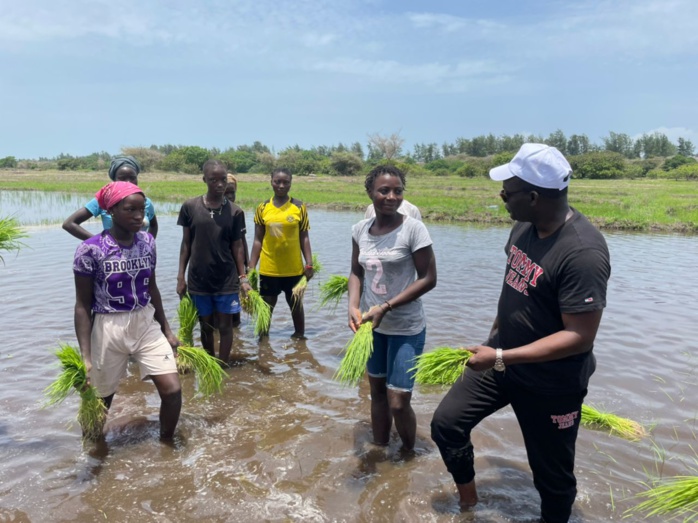 Présidentielle 2024 : Alioune Sarr ressuscite les hôtels fermés Présidentielle 2024 : Alioune Sarr ressuscite les hôtels fermés
